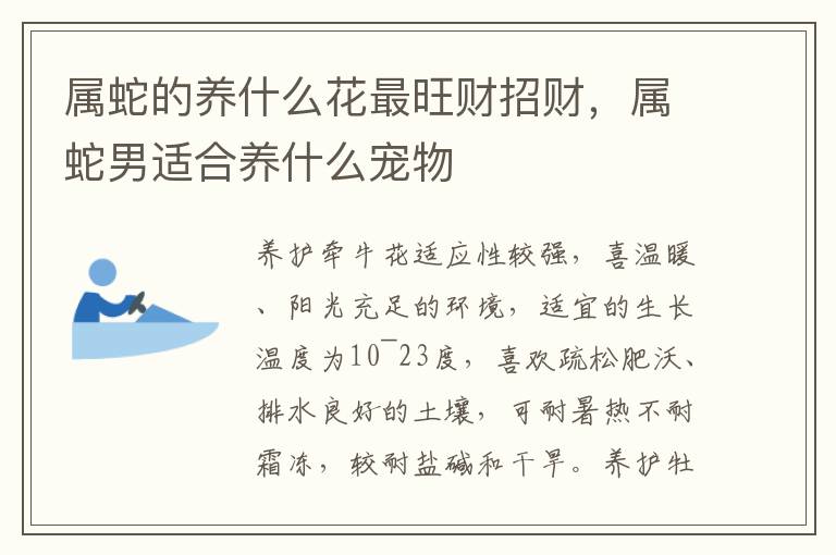 属蛇的养什么花最旺财招财，属蛇男适合养什么宠物