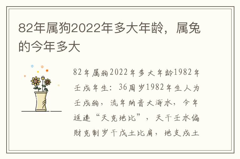 82年属狗2022年多大年龄，属兔的今年多大