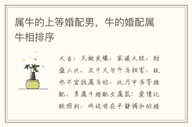 属牛的上等婚配男，牛的婚配属牛相排序