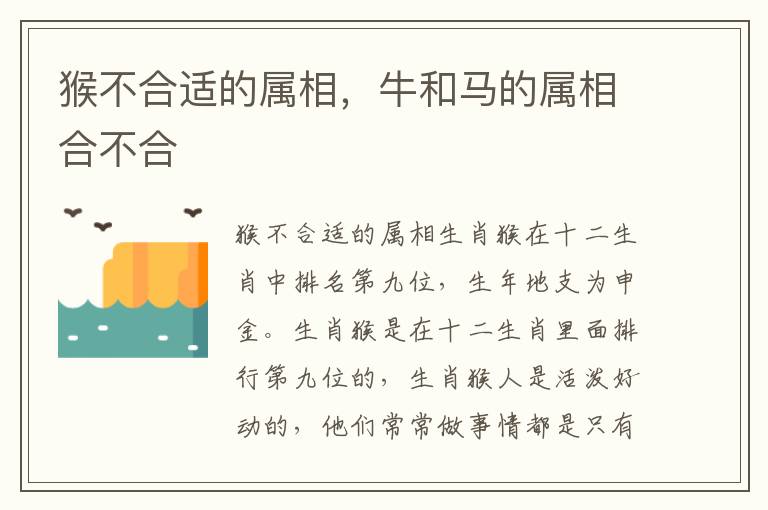 猴不合适的属相，牛和马的属相合不合