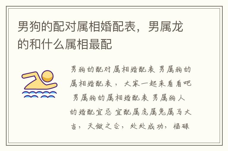 男狗的配对属相婚配表，男属龙的和什么属相最配