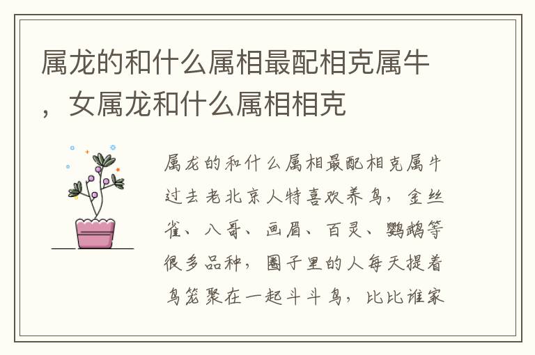 属龙的和什么属相最配相克属牛,女属龙和什么属相相克