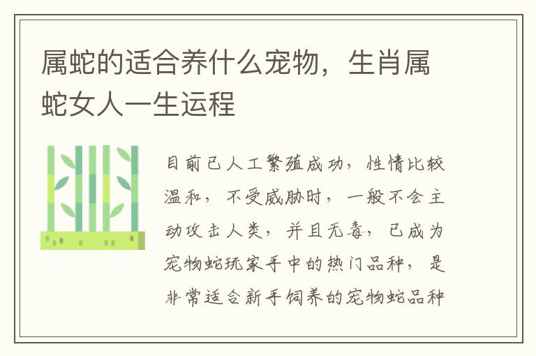 属蛇的适合养什么宠物，生肖属蛇女人一生运程