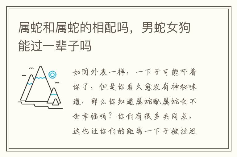 属蛇和属蛇的相配吗，男蛇女狗能过一辈子吗