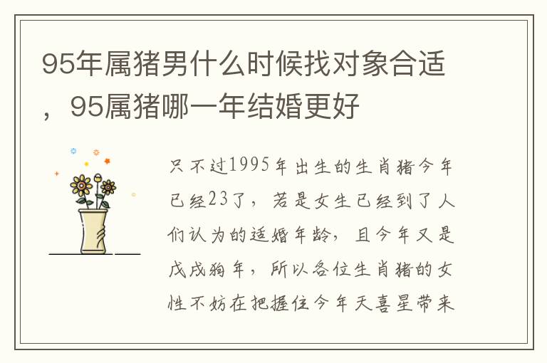 95年属猪男什么时候找对象合适，95属猪哪一年结婚更好