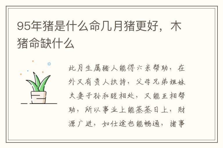 95年猪是什么命几月猪更好,木猪命缺什么