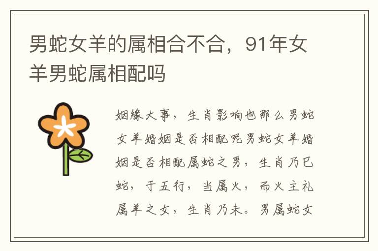 男蛇女羊的属相合不合，91年女羊男蛇属相配吗