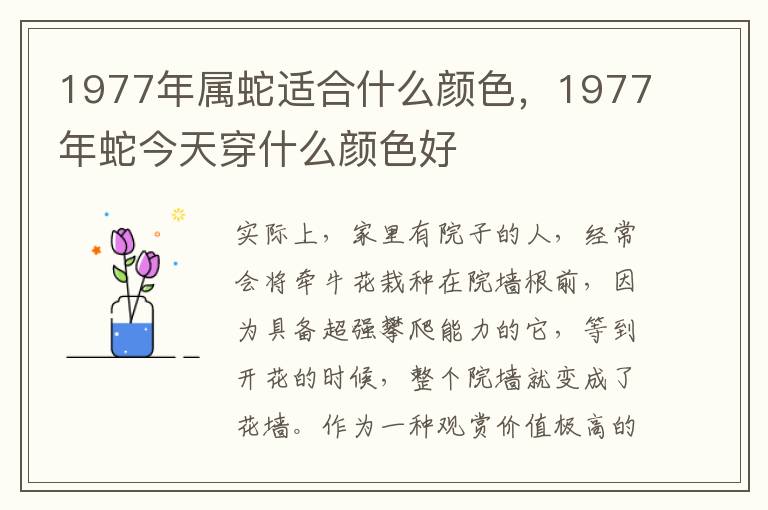 1977年属蛇适合什么颜色，1977年蛇今天穿什么颜色好