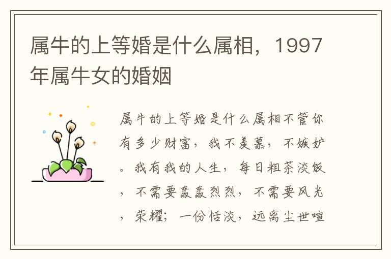 属牛的上等婚是什么属相，1997年属牛女的婚姻