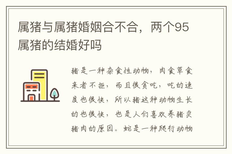 属猪与属猪婚姻合不合，两个95属猪的结婚好吗