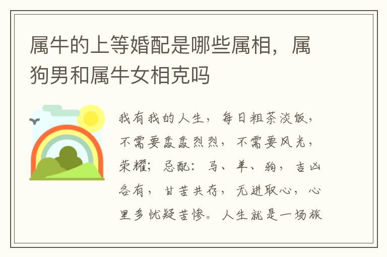 属牛的上等婚配是哪些属相,属狗男和属牛女相克吗