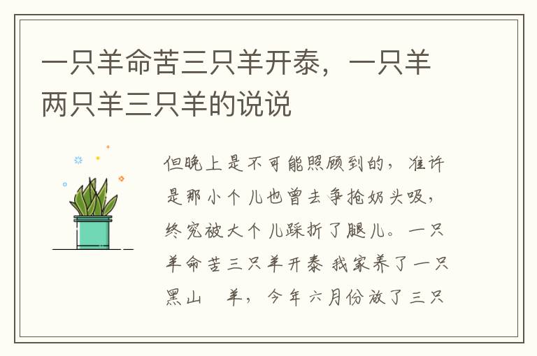 一只羊命苦三只羊开泰，一只羊两只羊三只羊的说说
