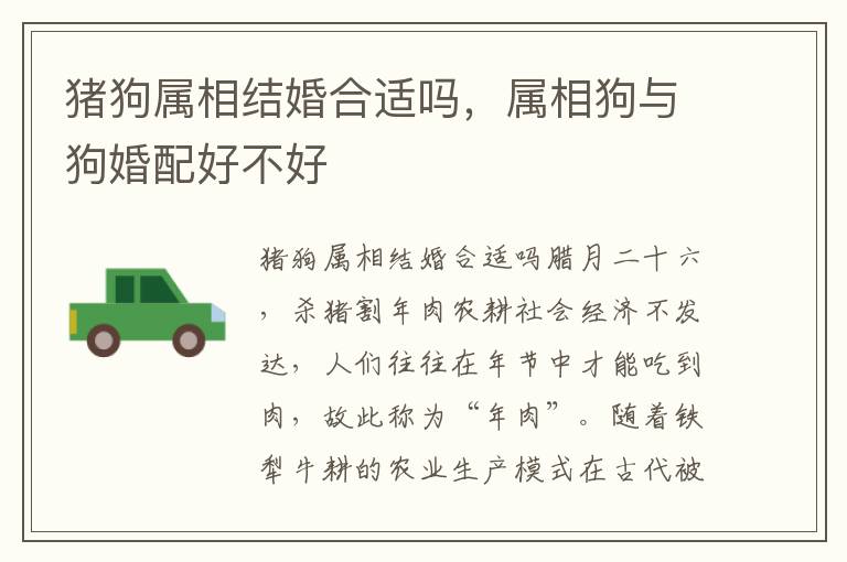猪狗属相结婚合适吗，属相狗与狗婚配好不好