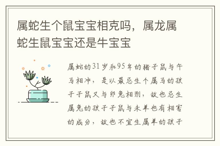 属蛇生个鼠宝宝相克吗，属龙属蛇生鼠宝宝还是牛宝宝