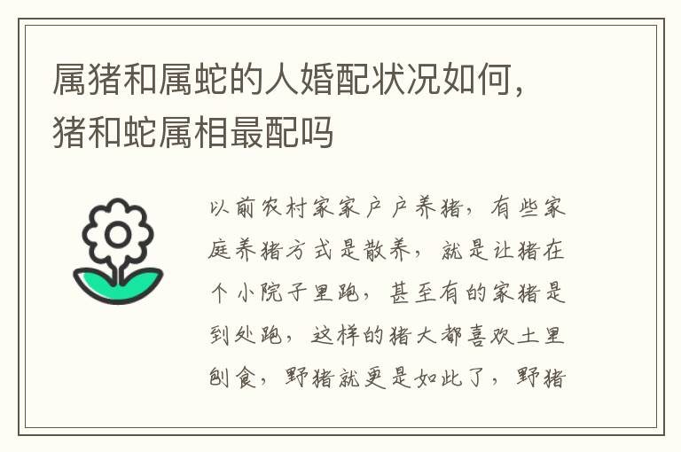 属猪和属蛇的人婚配状况如何，猪和蛇属相最配吗