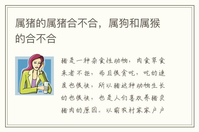 属猪的属猪合不合，属狗和属猴的合不合