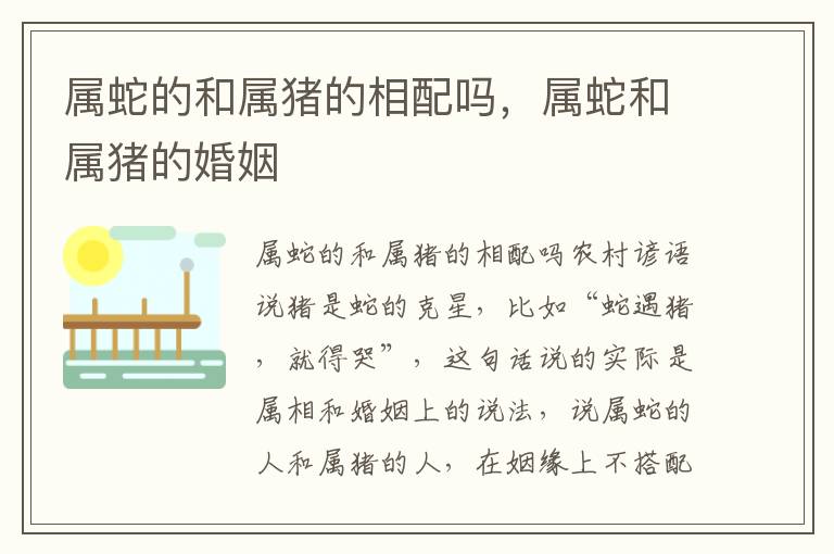 属蛇的和属猪的相配吗，属蛇和属猪的婚姻