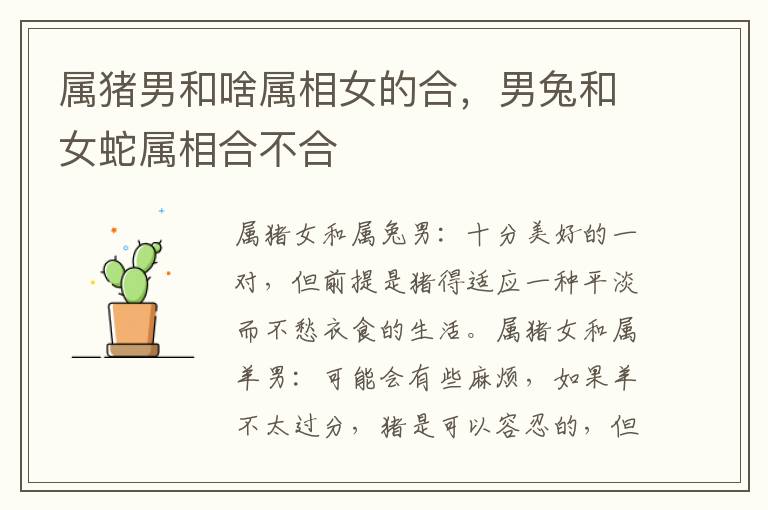 属猪男和啥属相女的合，男兔和女蛇属相合不合