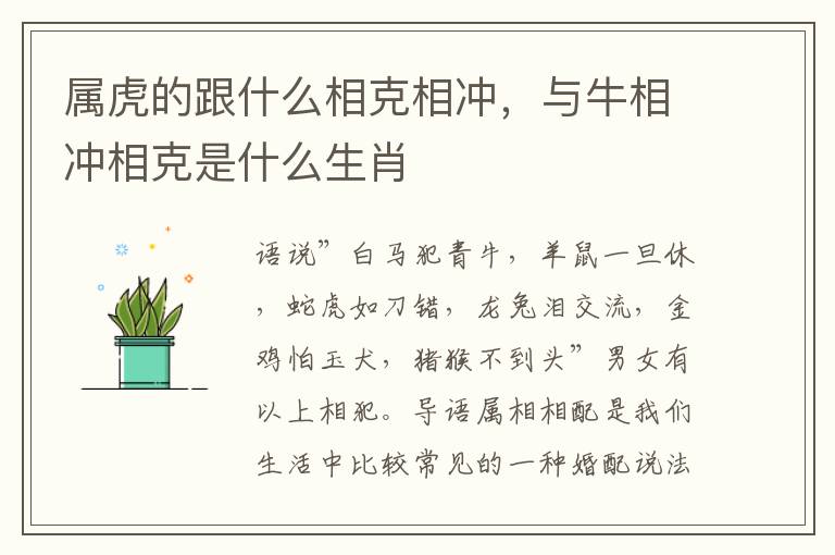属虎的跟什么相克相冲，与牛相冲相克是什么生肖