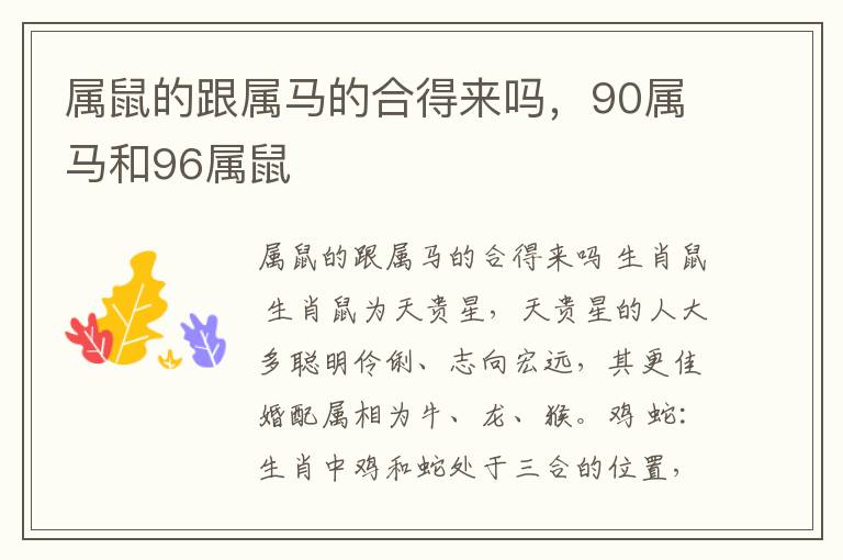 属鼠的跟属马的合得来吗，90属马和96属鼠