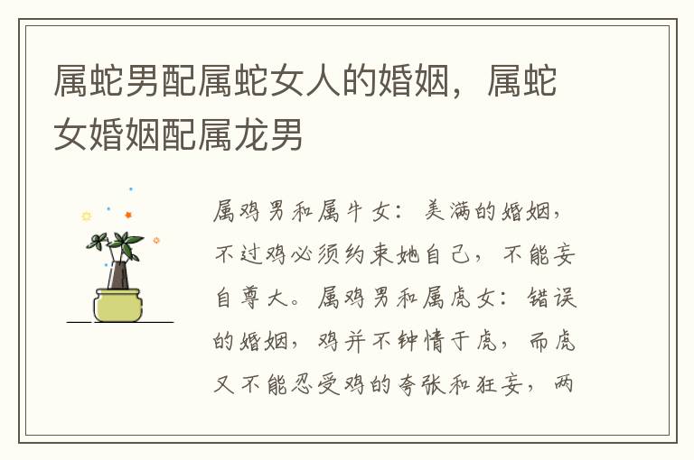 属蛇男配属蛇女人的婚姻，属蛇女婚姻配属龙男