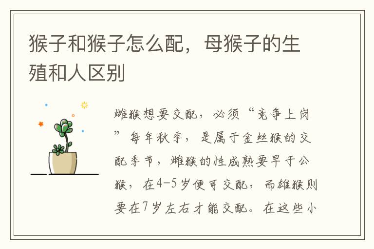 猴子和猴子怎么配，母猴子的生殖和人区别
