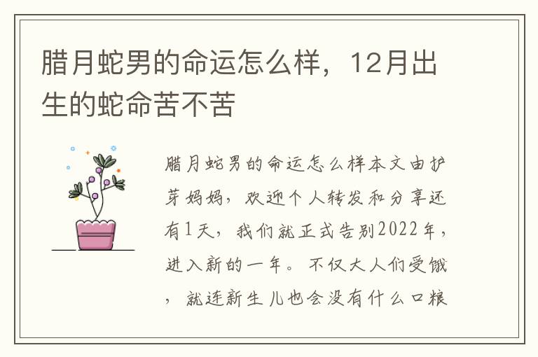 腊月蛇男的命运怎么样，12月出生的蛇命苦不苦