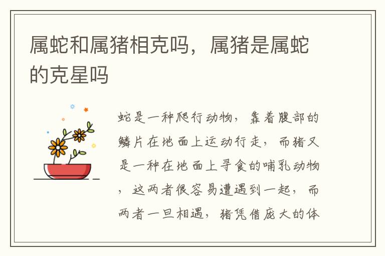 属蛇和属猪相克吗，属猪是属蛇的克星吗
