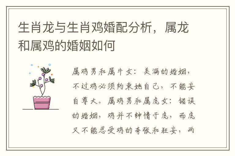 生肖龙与生肖鸡婚配分析，属龙和属鸡的婚姻如何