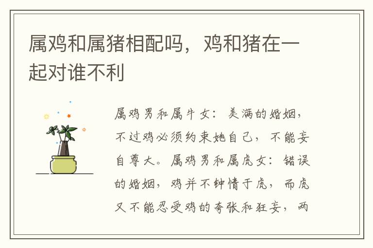 属鸡和属猪相配吗,鸡和猪在一起对谁不利