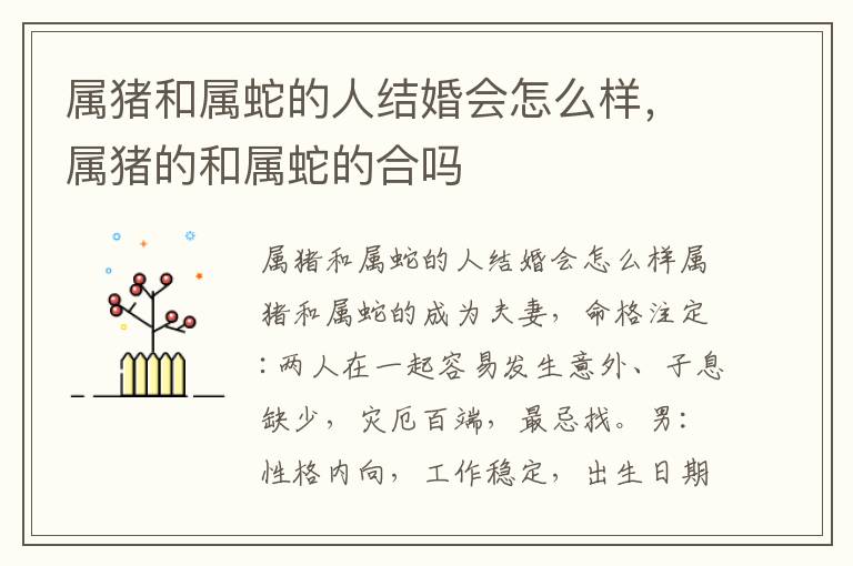 属猪和属蛇的人结婚会怎么样，属猪的和属蛇的合吗