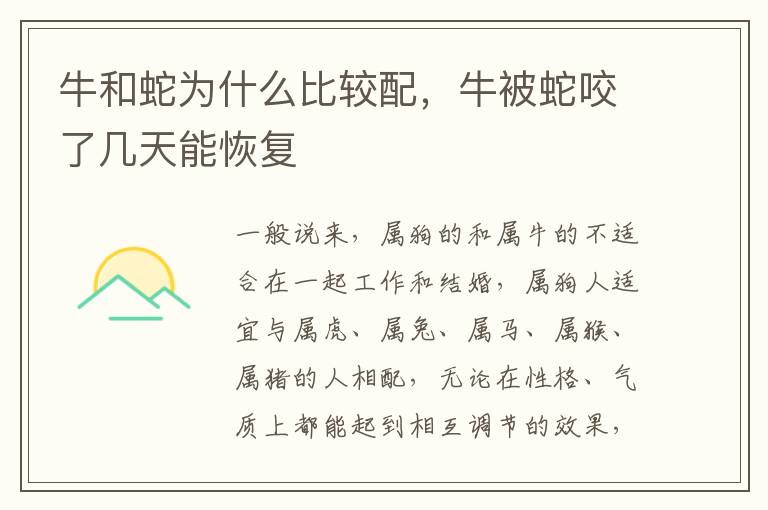 牛和蛇为什么比较配，牛被蛇咬了几天能恢复