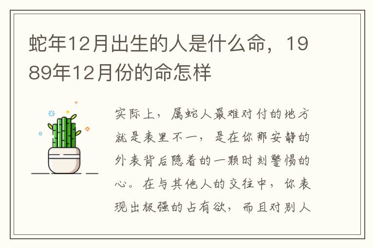 蛇年12月出生的人是什么命，1989年12月份的命怎样