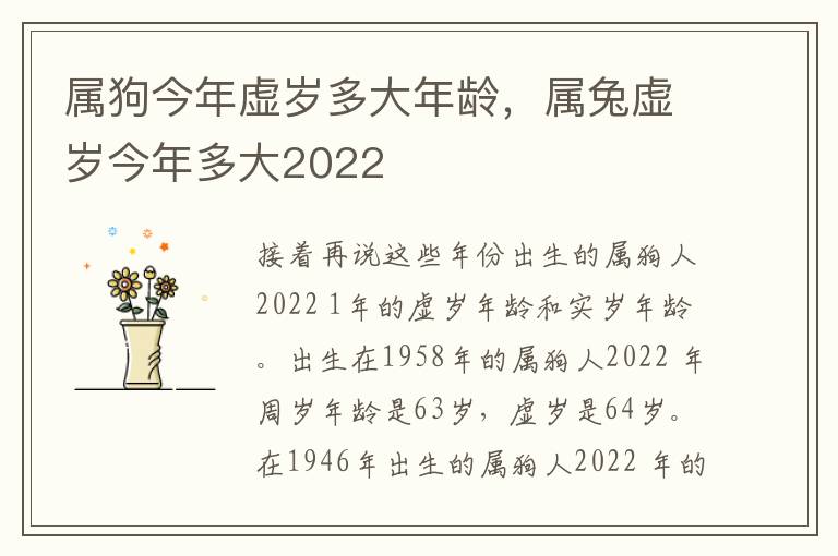 属狗今年虚岁多大年龄，属兔虚岁今年多大2022