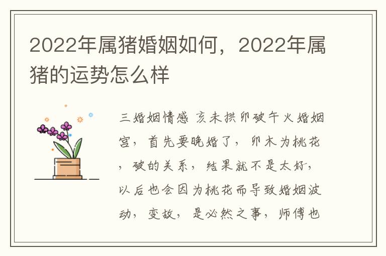 2022年属猪婚姻如何，2022年属猪的运势怎么样