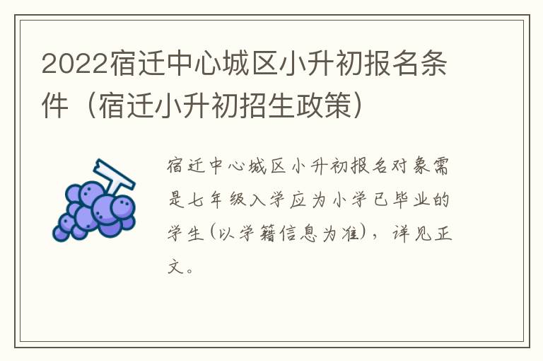 2022宿迁中心城区小升初报名条件（宿迁小升初招生政策）