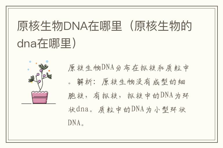 原核生物DNA在哪里(原核生物的dna在哪里)