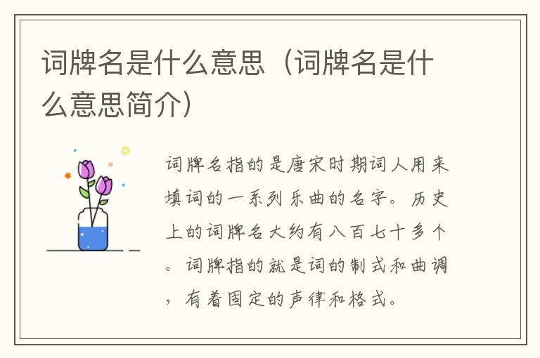 词牌名是什么意思（词牌名是什么意思简介）