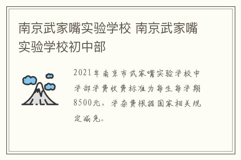 南京武家嘴实验学校 南京武家嘴实验学校初中部