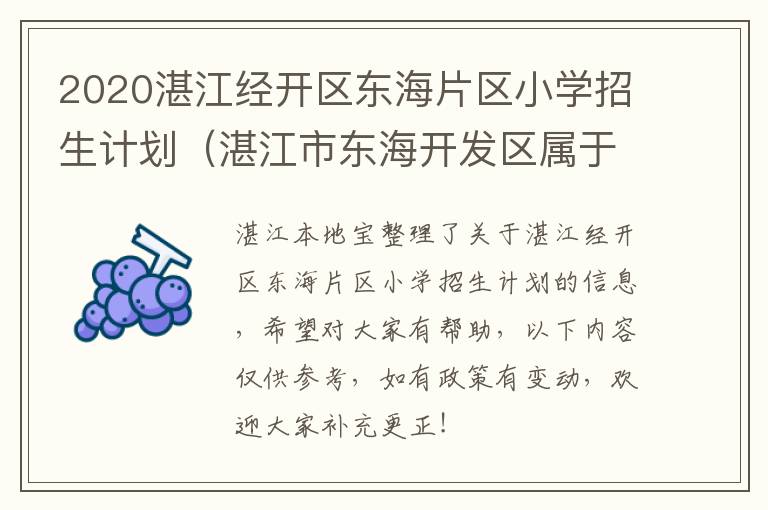 2020湛江经开区东海片区小学招生计划（湛江市东海开发区属于哪个区）