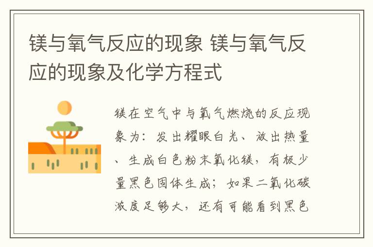 镁与氧气反应的现象 镁与氧气反应的现象及化学方程式