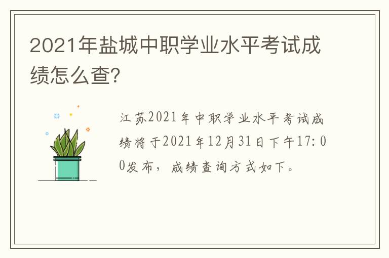 2021年盐城中职学业水平考试成绩怎么查？