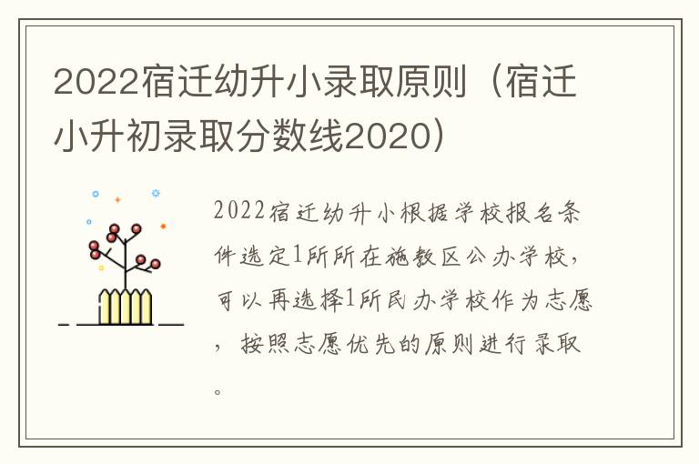 2022宿迁幼升小录取原则（宿迁小升初录取分数线2020）