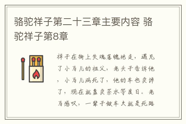 骆驼祥子第二十三章主要内容 骆驼祥子第8章