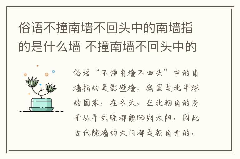 俗语不撞南墙不回头中的南墙指的是什么墙 不撞南墙不回头中的南墙指的是什么墙