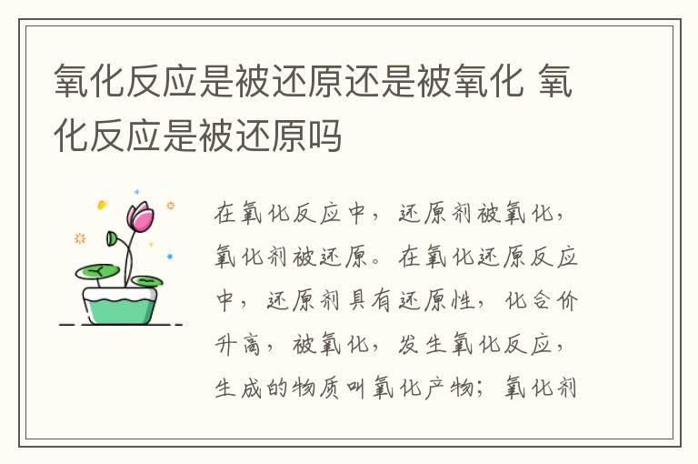 氧化反应是被还原还是被氧化 氧化反应是被还原吗