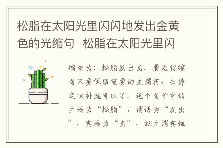松脂在太阳光里闪闪地发出金黄色的光缩句  松脂在太阳光里闪闪地发出金黄色的光缩句是什么