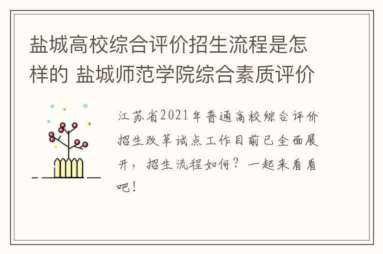 盐城高校综合评价招生流程是怎样的 盐城师范学院综合素质评价
