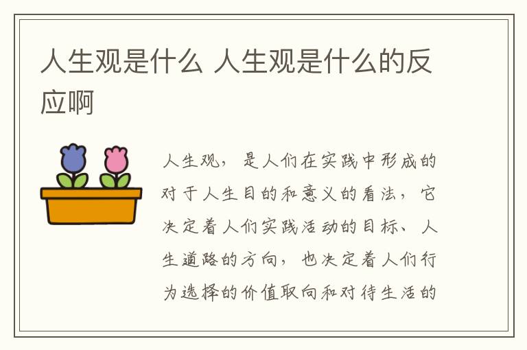 人生观是什么 人生观是什么的反应啊