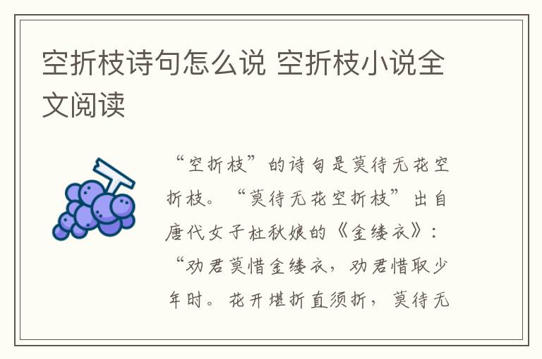 空折枝诗句怎么说 空折枝小说全文阅读